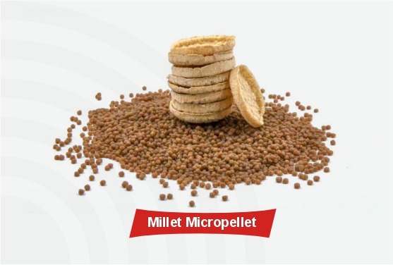 Micool Pellets A Innovative Food Products Limited | Premium Snack Micro Pellets ...